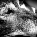 priorityclub2001 avatar