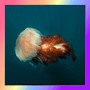 prismatic-cnidaria avatar