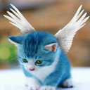 prismaticdreams147-blog avatar