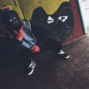 privatecolleen avatar