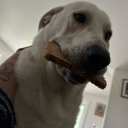 privateffdonut avatar