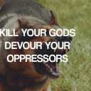 privatenonesense avatar