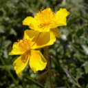 privatetumbler43567 avatar