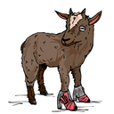 priyanka-anne avatar