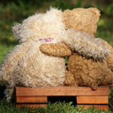 pro-choice-teddy-bear-blog avatar