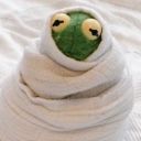 probably-procrastinating-rn avatar