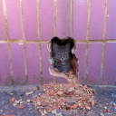 probablybubbly avatar