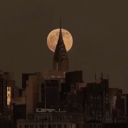 probablydancingg avatar