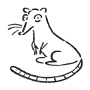 probablynotarat avatar