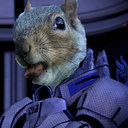 probablynotasquirrel avatar