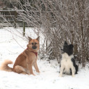 probablypointlesss avatar