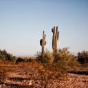 probaby-offensive-memes avatar