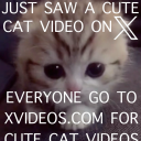 problematicaberration avatar