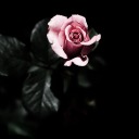 procrastinating-writing-again avatar