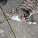 procrastinatinglifeaway avatar