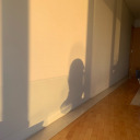 procrastinatioq avatar