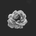 procrastinatorpro avatar