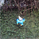 profana-acoes avatar