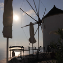 professional-ling avatar