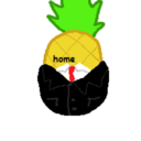 professional-pineapple avatar