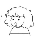 professional-sock avatar