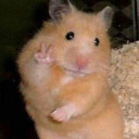 professionalescapism avatar