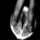 professionalfreak avatar