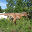 professionalmess avatar