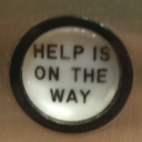 professionalporcupine avatar