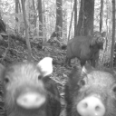 professor-wednesday avatar