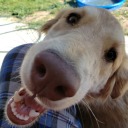 professorbook avatar