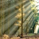 professorpryde avatar