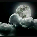 professorremuswerewolf-blog avatar