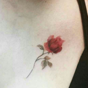 profoundlynumberonesoul-blog avatar