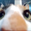 programing-nerd avatar