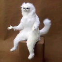 projectrandompost avatar