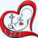 prolifeproeveryone avatar