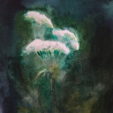 prometheusliver avatar