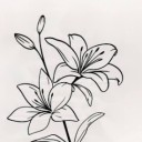 promisesfromgod avatar