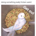 prompt-things avatar