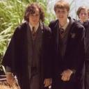 prongsfootandco avatar