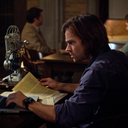 prophet-dreams-network avatar