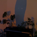 propheticc-dreams avatar