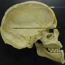 prophetofzillyhoo avatar