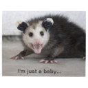 prophetopossum avatar