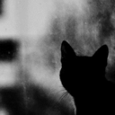 prosperai-blog avatar