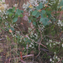 prosth3tichead avatar