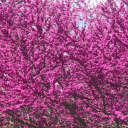 protectkookmin avatar