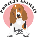 protejaanimais-blog avatar