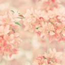 prove-me-wrong-anon-blog avatar